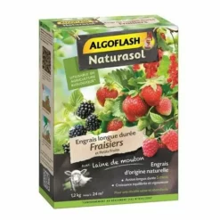 Algoflash Engrai Longue Petit 1,2 Kg Fruit