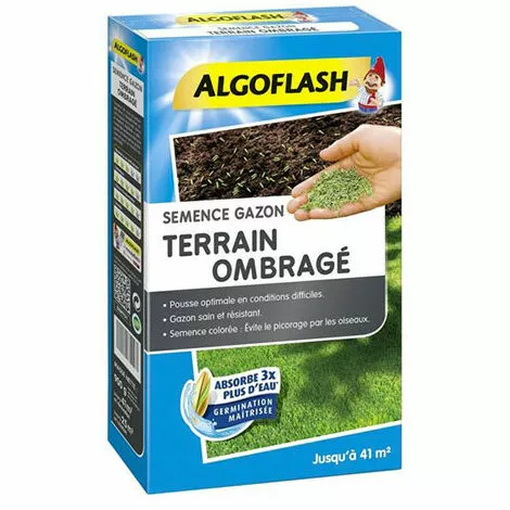 Algoflash Ombragé 900 G Semence Gazon Terrain 1 Algoflash Ombragé 900 G Semence Gazon Terrain