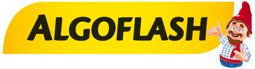 ALGOFLASH Soldes Magasin