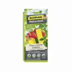 Algoflash Collant /10