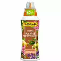 Algoflash 500Ml