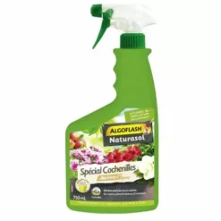 Algoflash Pae 750Ml SpéCial