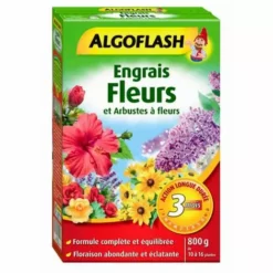 Algoflash Engrai Action