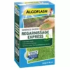 Algoflash Regarnissage Expres Semance Gazon 1 Kg