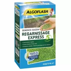 Algoflash Regarnissage Expres Semance Gazon 1 Kg