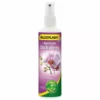 Algoflash Algoglash Hydratant 250Ml OrchidÉE