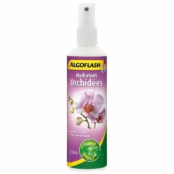 Algoflash Algoglash Hydratant 250Ml OrchidÉE