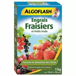 Algoflash Petits Fruit 1Kg