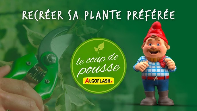 ALGOFLASH Soldes Magasin -ALGOFLASH Soldes Magasin hq720